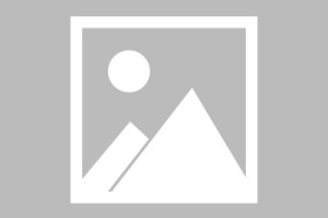  拉齐奥核心伤退，恐缺席关键战役  